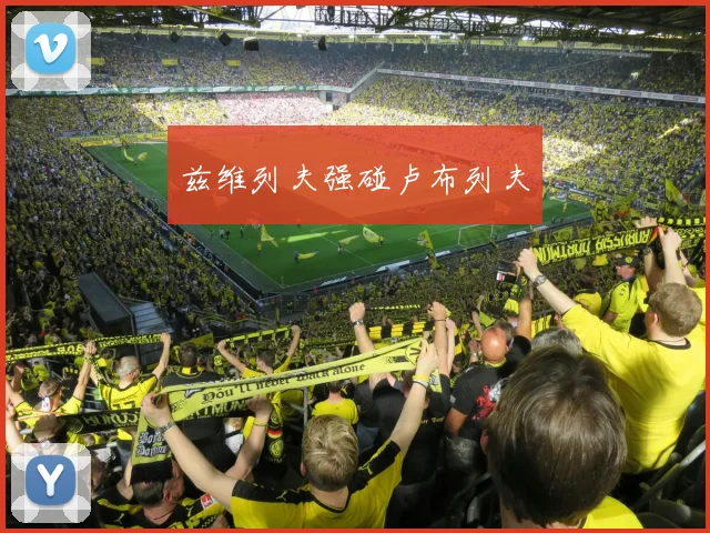兹维列夫强碰卢布列夫