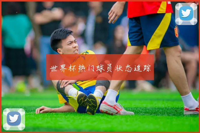 世界杯热门球员状态追踪